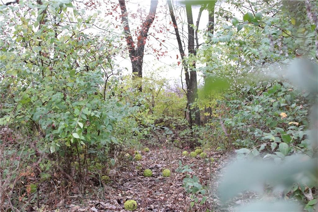 710 SE State Hwy PP N/A — photo 19