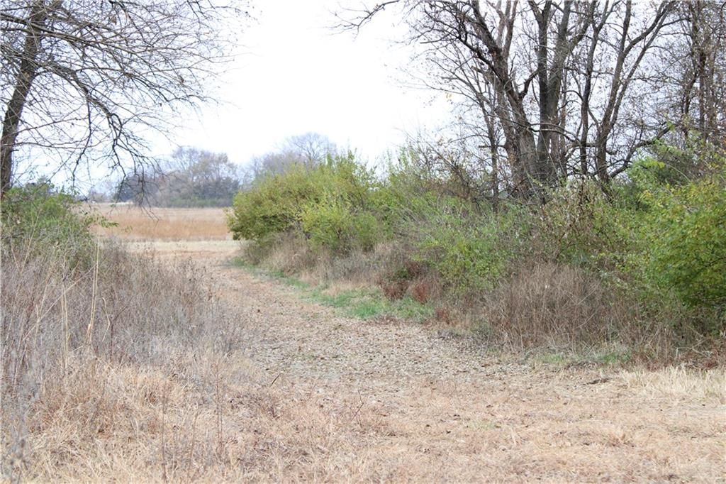 710 SE State Hwy PP N/A — photo 23