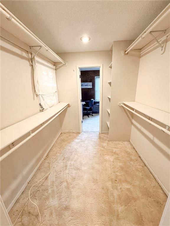 8011 Gillette Street — photo 23