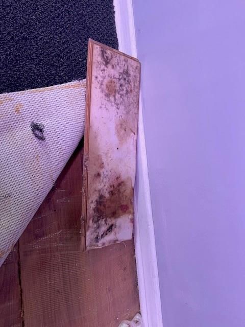 234 E Moss Street — photo 27