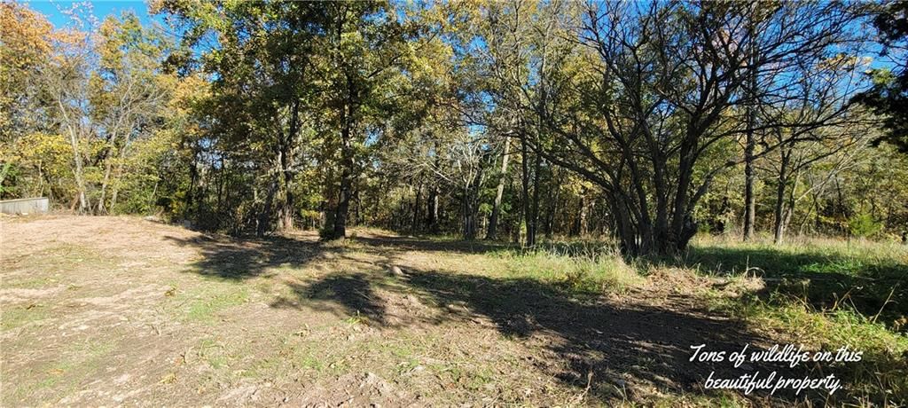 17169 Ft. Lyon Road — photo 5