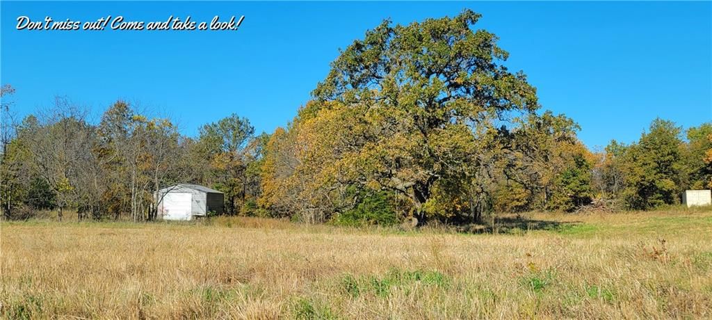 17169 Ft. Lyon Road — photo 8