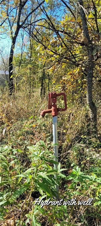 17169 Ft. Lyon Road — photo 11