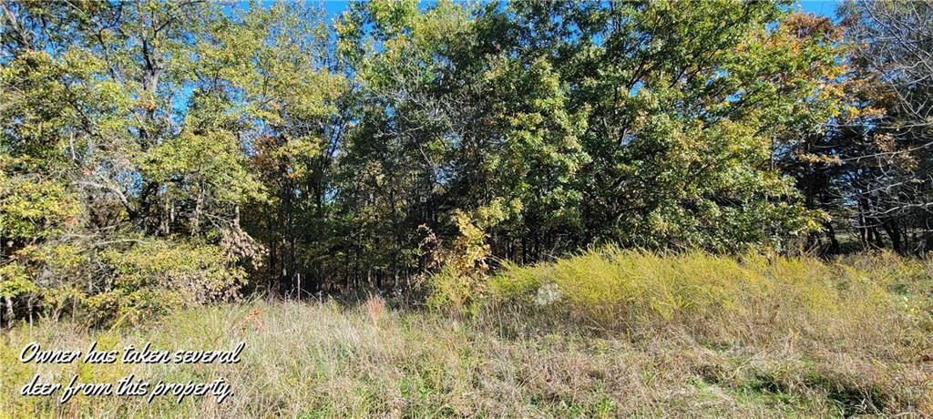 17169 Ft. Lyon Road — photo 12