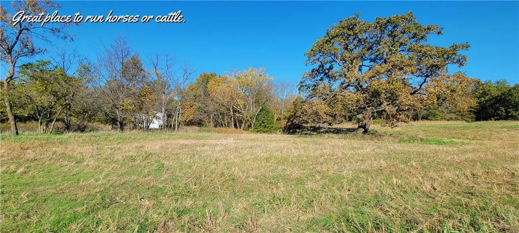 17169 Ft. Lyon Road — photo 14