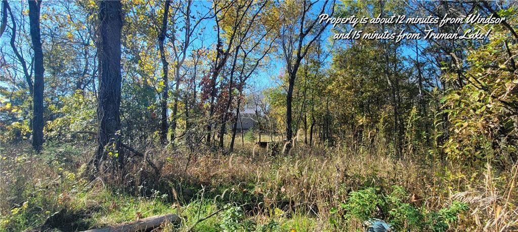 17169 Ft. Lyon Road — photo 15