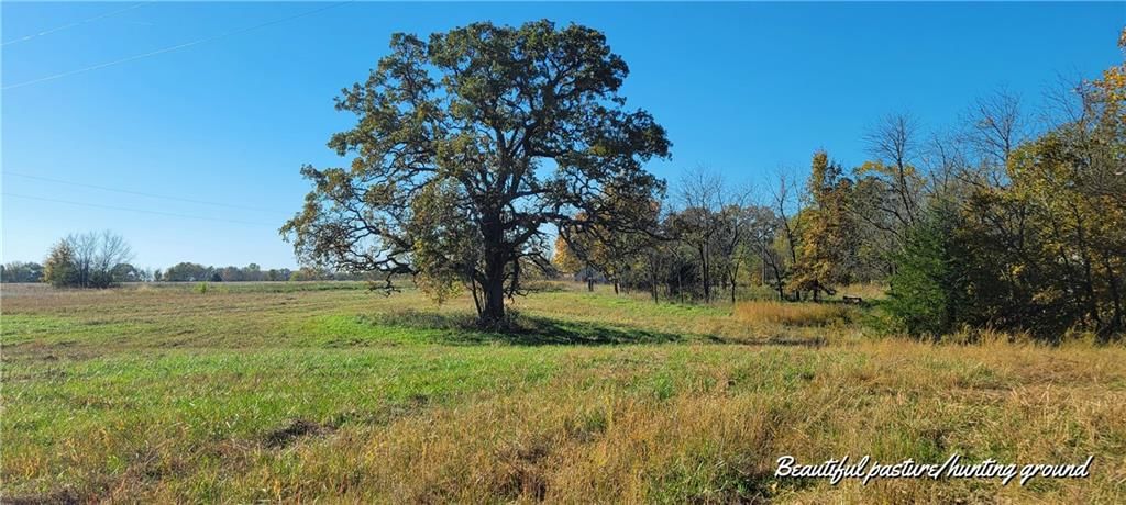 17169 Ft. Lyon Road — photo 18