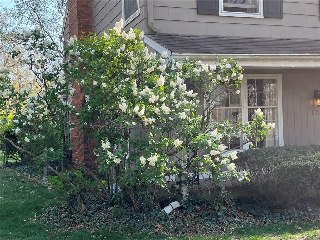 1219 W 67 Terrace — photo 38