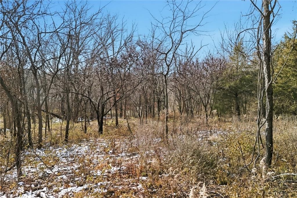 00000 NE 144th Street — photo 17