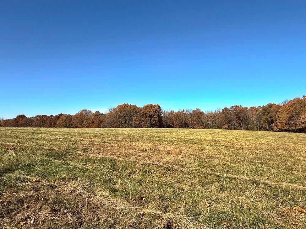 TBDB S J Highway — photo 15