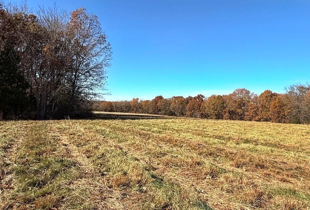 TBDB S J Highway — photo 16