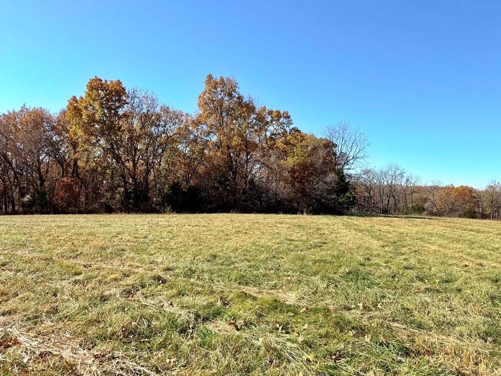 TBDB S J Highway — photo 17