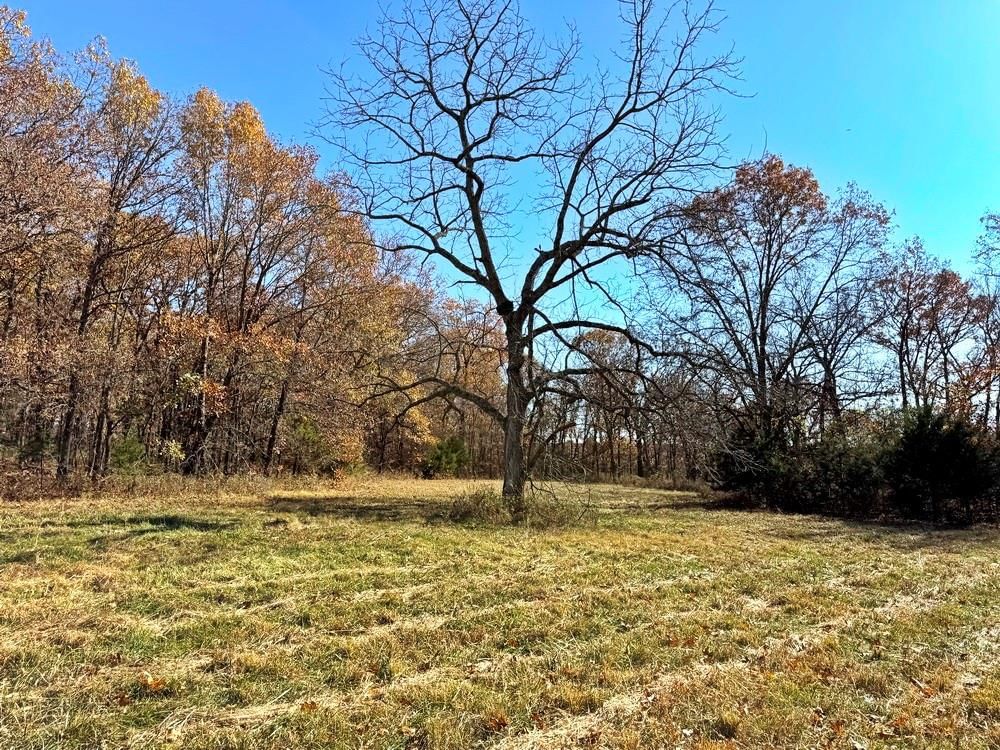 TBDB S J Highway — photo 18
