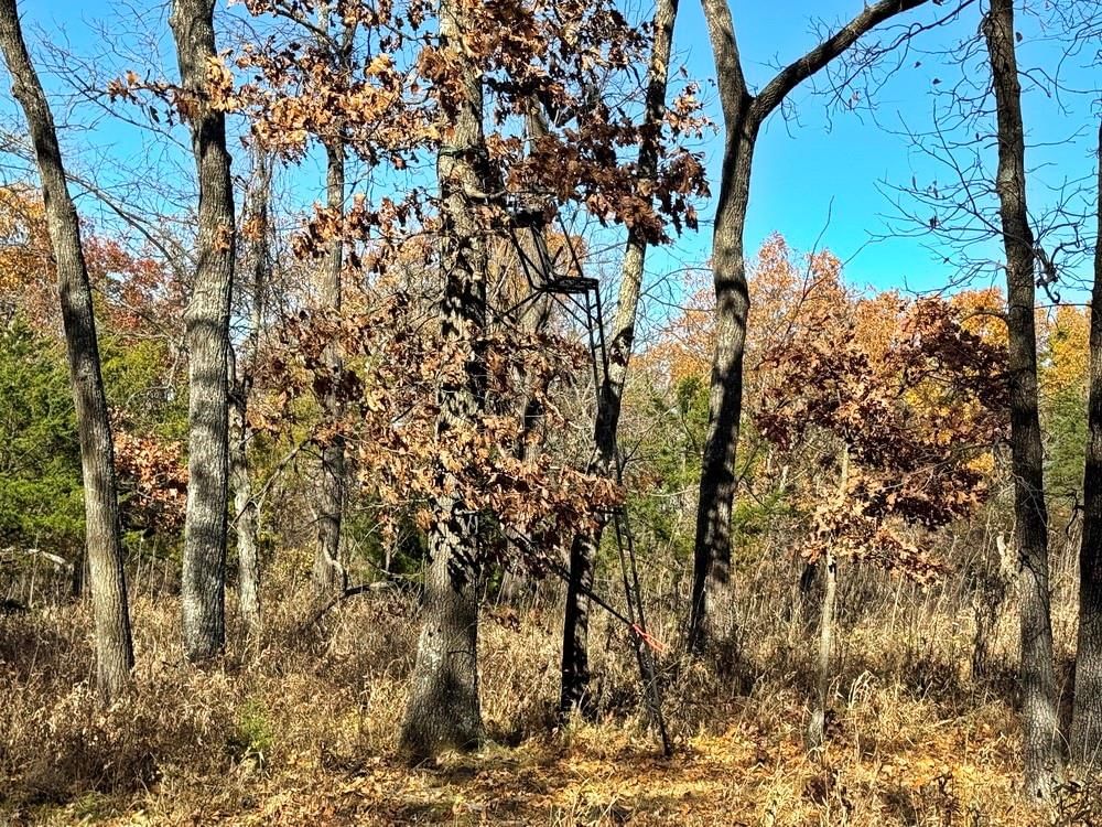 TBDB S J Highway — photo 28