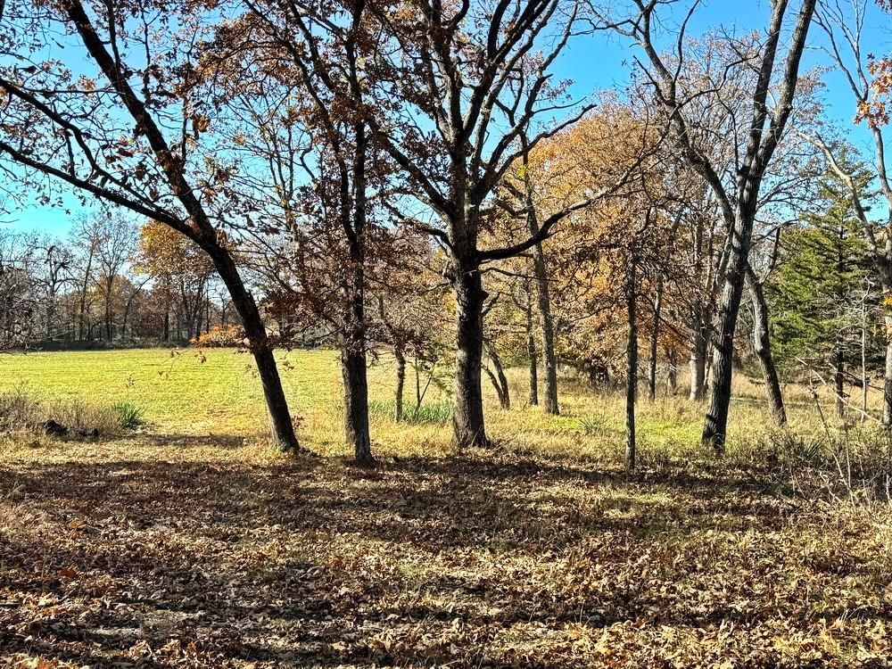TBDB S J Highway — photo 33