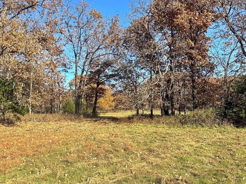 TBDB S J Highway — photo 34