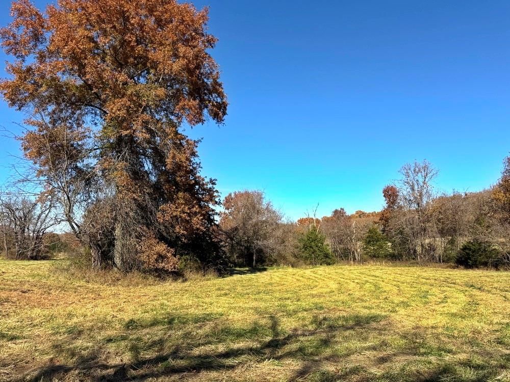 TBDB S J Highway — photo 42
