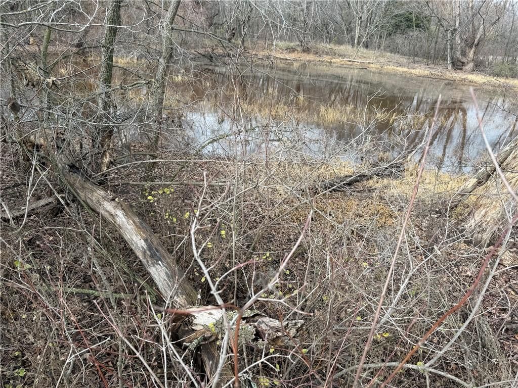 S  Stubbs Road — photo 4