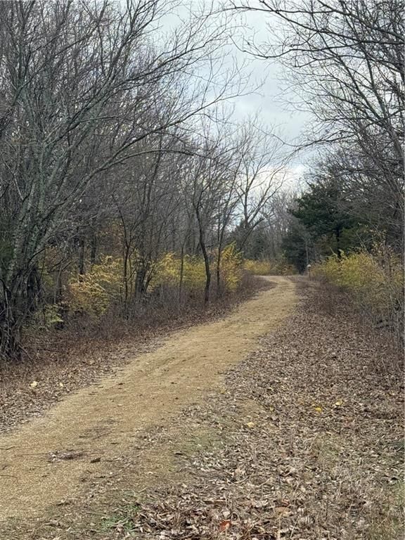 S  Stubbs Road — photo 10