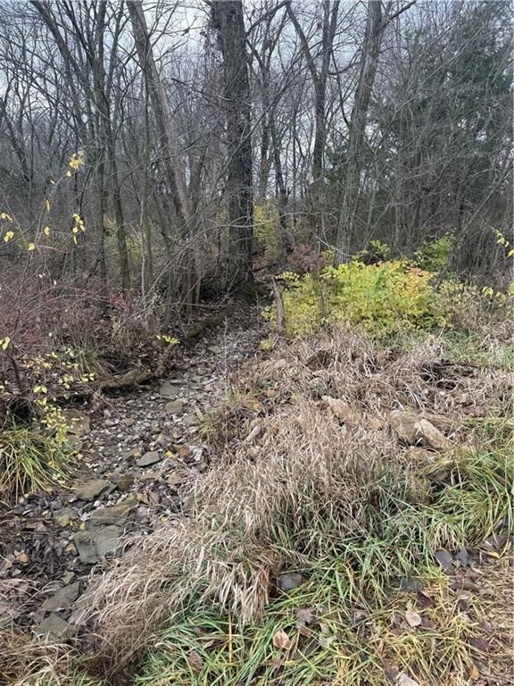 S  Stubbs Road — photo 11