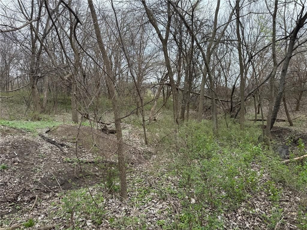 TBD Hwy DD Highway — photo 14