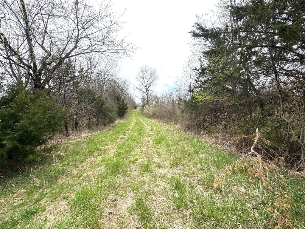 TBD Hwy DD Highway — photo 16