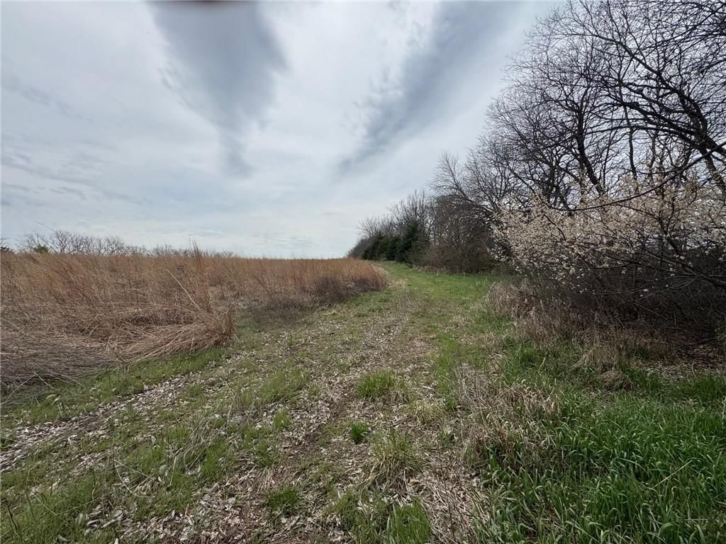 TBD Hwy DD Highway — photo 19