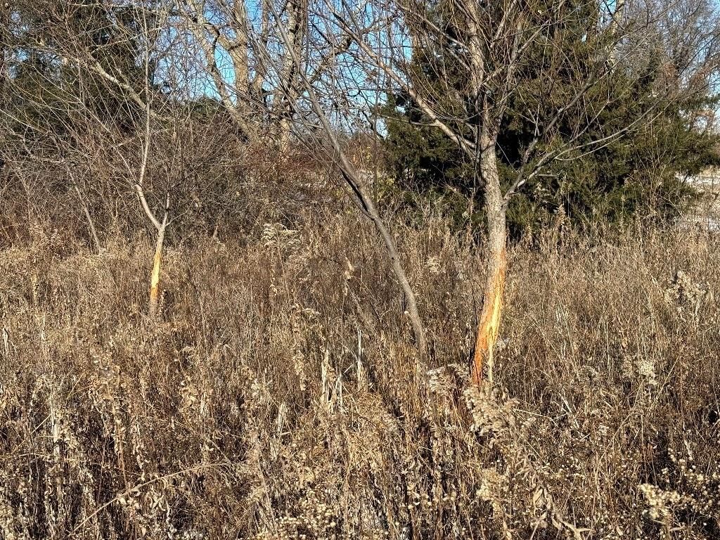 TBD Hwy DD Highway — photo 28