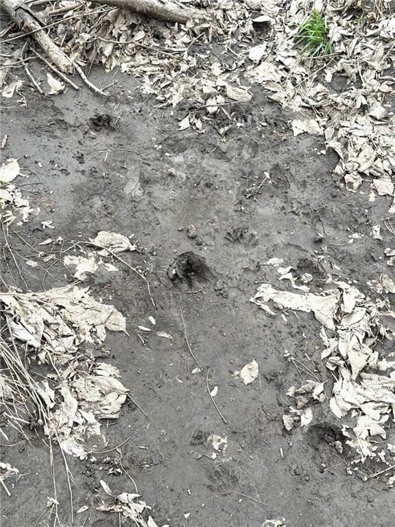 TBD Hwy DD Highway — photo 30