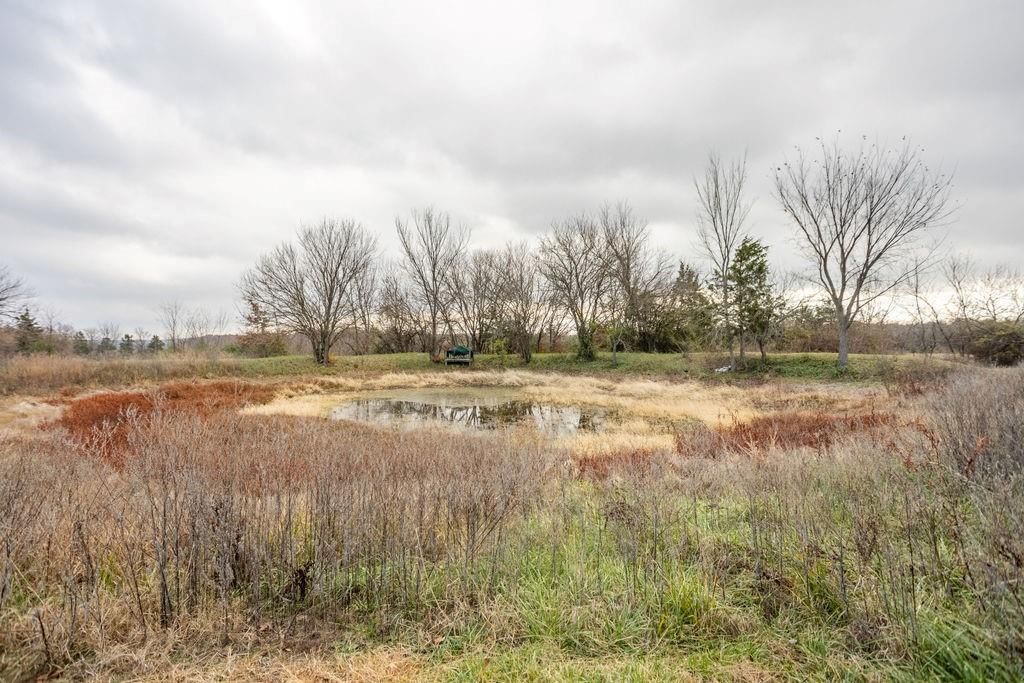 24439 County Road 211 Road — photo 10