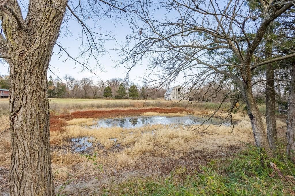 24439 County Road 211 Road — photo 11