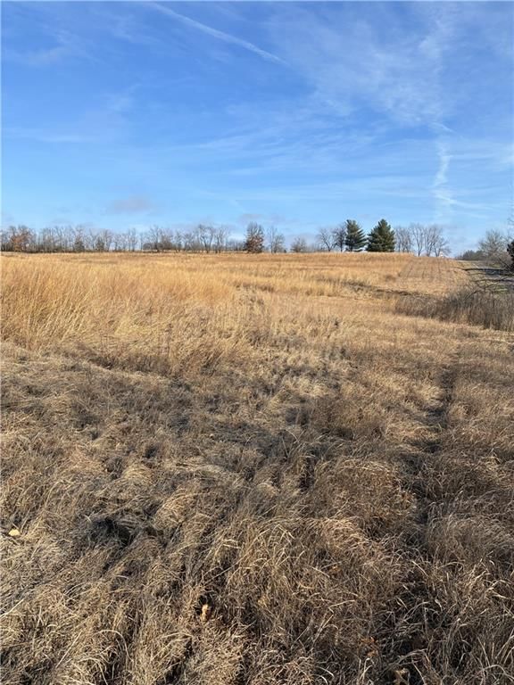 Spring Holler Road — photo 10