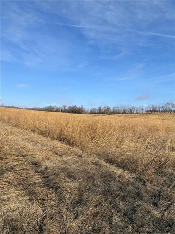 Spring Holler Road — photo 11