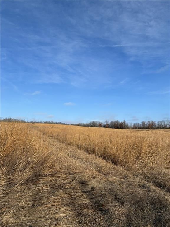 Spring Holler Road — photo 12