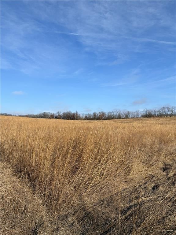Spring Holler Road — photo 13
