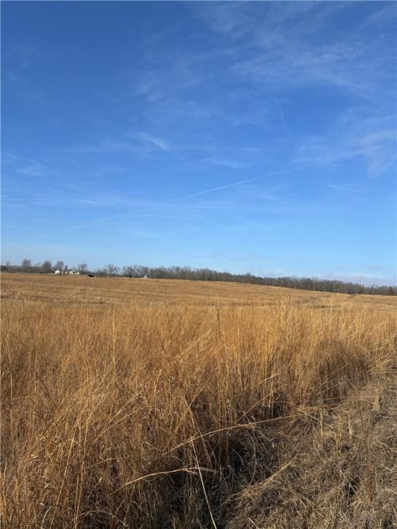 Spring Holler Road — photo 15