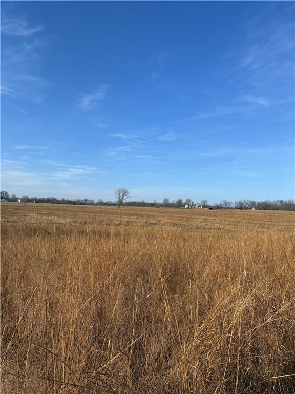 Spring Holler Road — photo 16