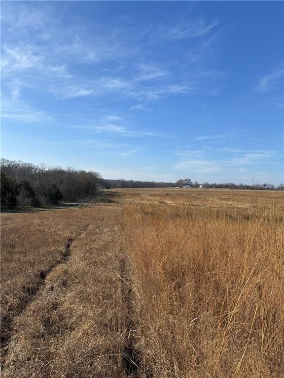 Spring Holler Road — photo 17