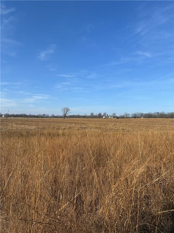 Spring Holler Road — photo 18