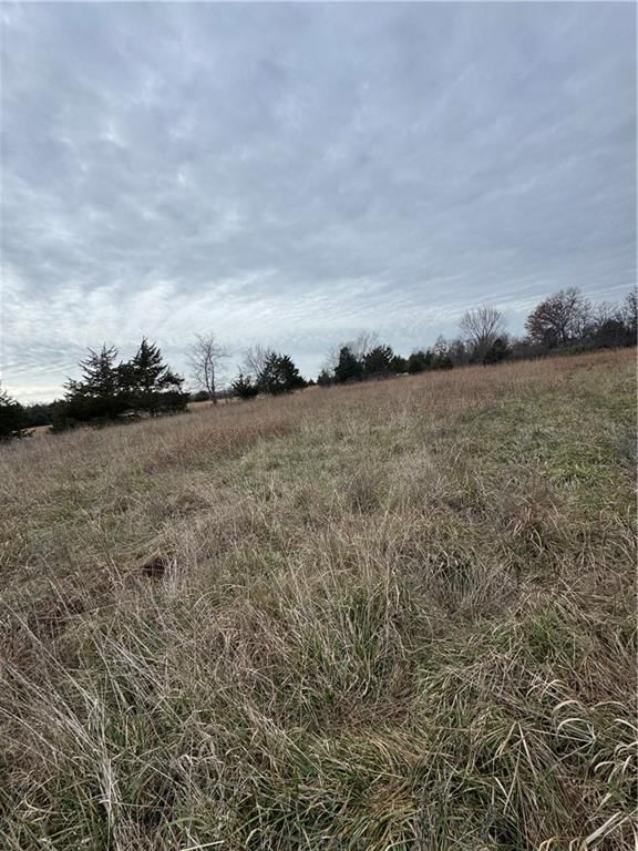 1696 Maple Road — photo 11