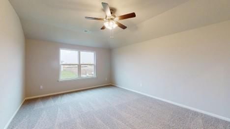 533 W Bluebird Street — photo 11