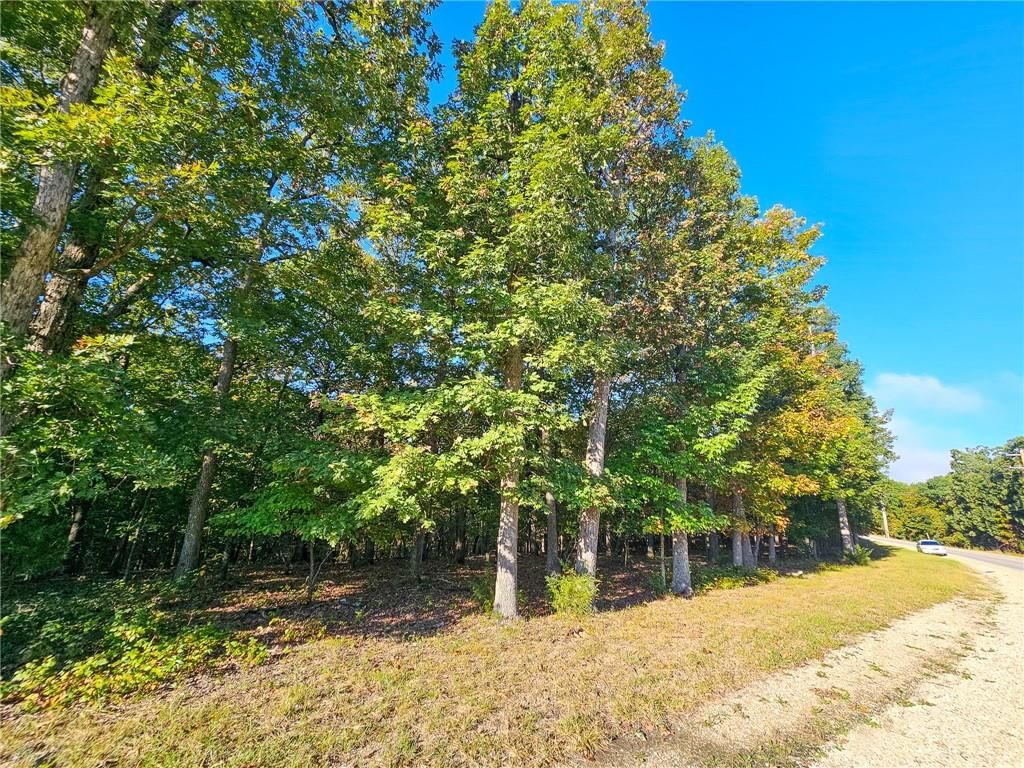 Lot #1060 Bittersweet Road — photo 4