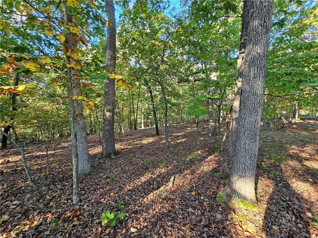 Lot #1060 Bittersweet Road — photo 5