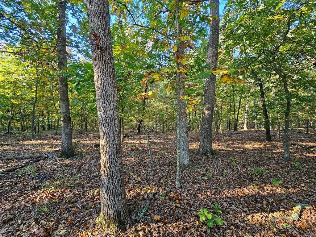 Lot #1060 Bittersweet Road — photo 6