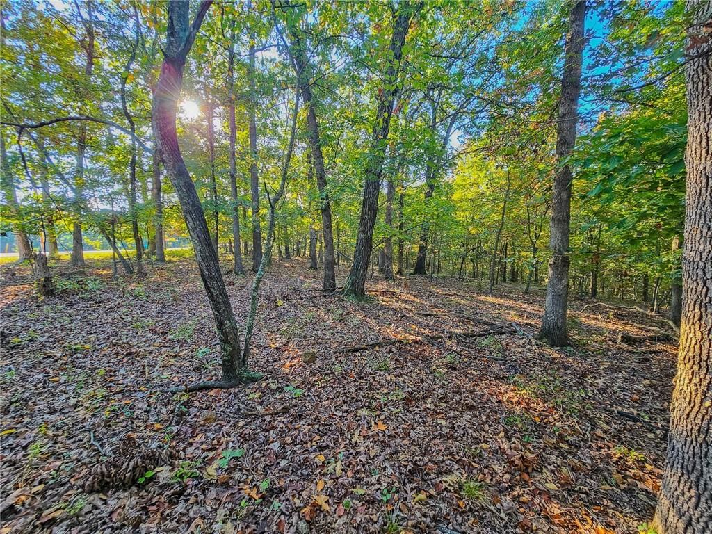 Lot #1060 Bittersweet Road — photo 7