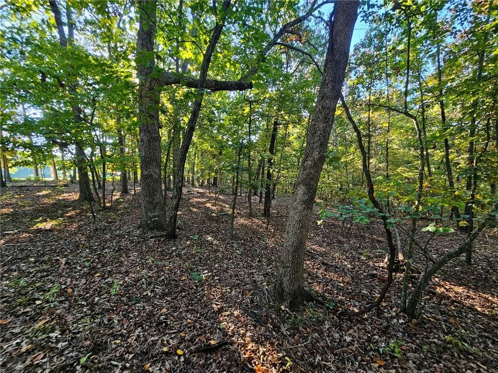 Lot #1060 Bittersweet Road — photo 8