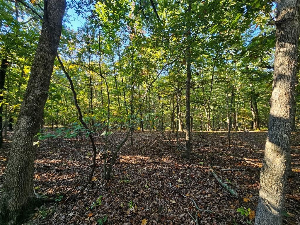 Lot #1060 Bittersweet Road — photo 9