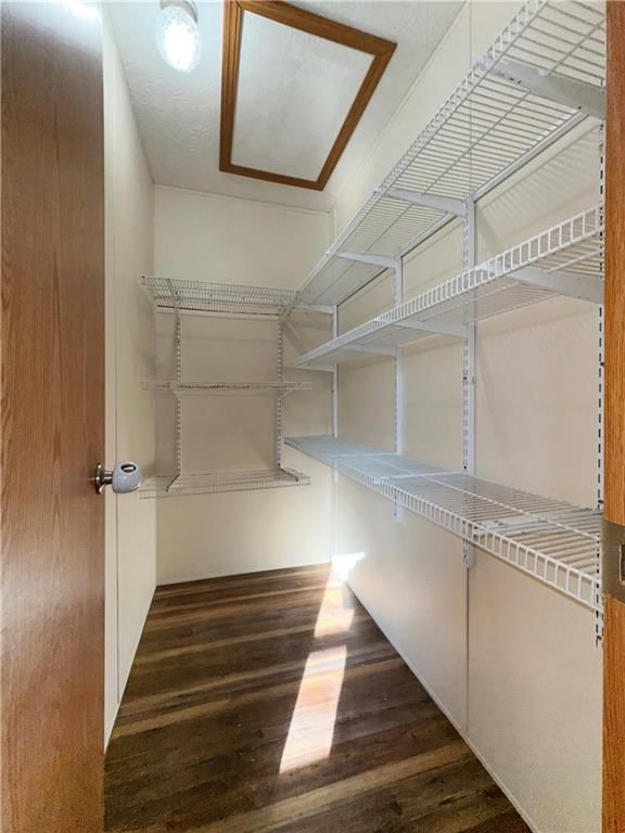 509 Mary Street — photo 10