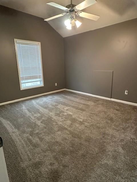 5002 Woodsonia Drive — photo 15