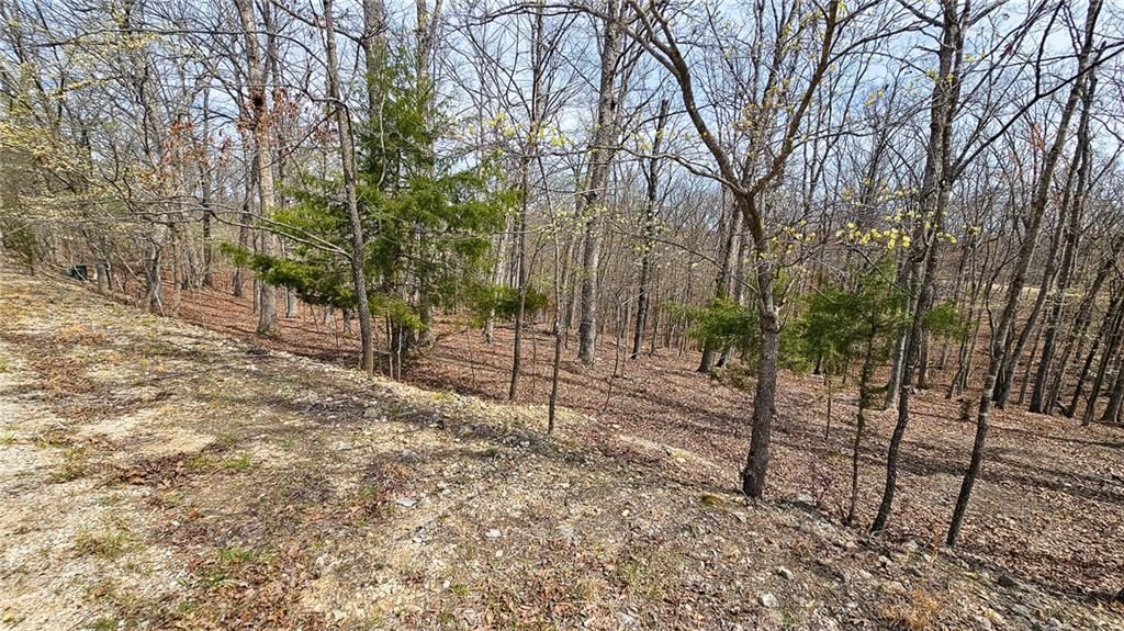 Lot #362 Lake Drive — photo 2